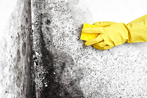 Water Damage Restoration in Monticello, UT