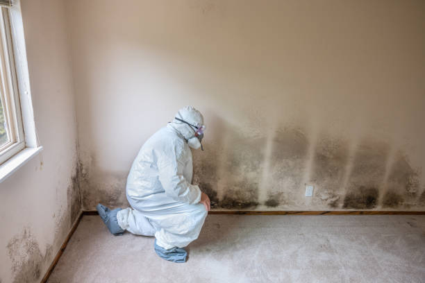 Best Mold Testing  in Monticello, UT